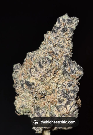 Photograph of product: Citron | Regs | Bulk Flower - 28g