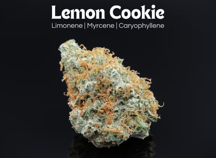 Photograph of product: Lemon Cookie 14.15g