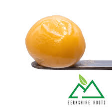 Photograph of product: Live Badder - London Jelly - 1g