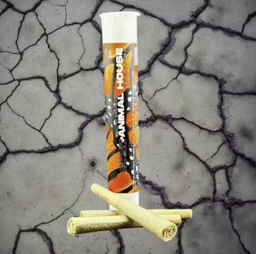 Photograph of product: Animal House | Iced Sangria | 1.5g Infused 3pk Pre-Rolls