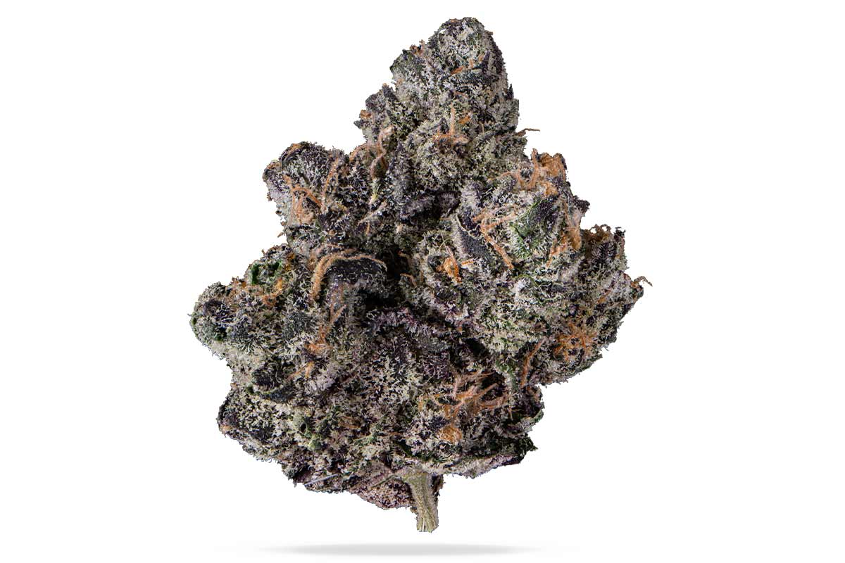 Photograph of product: Vanilla Creme Friache | Astro Buds Bag - 7g