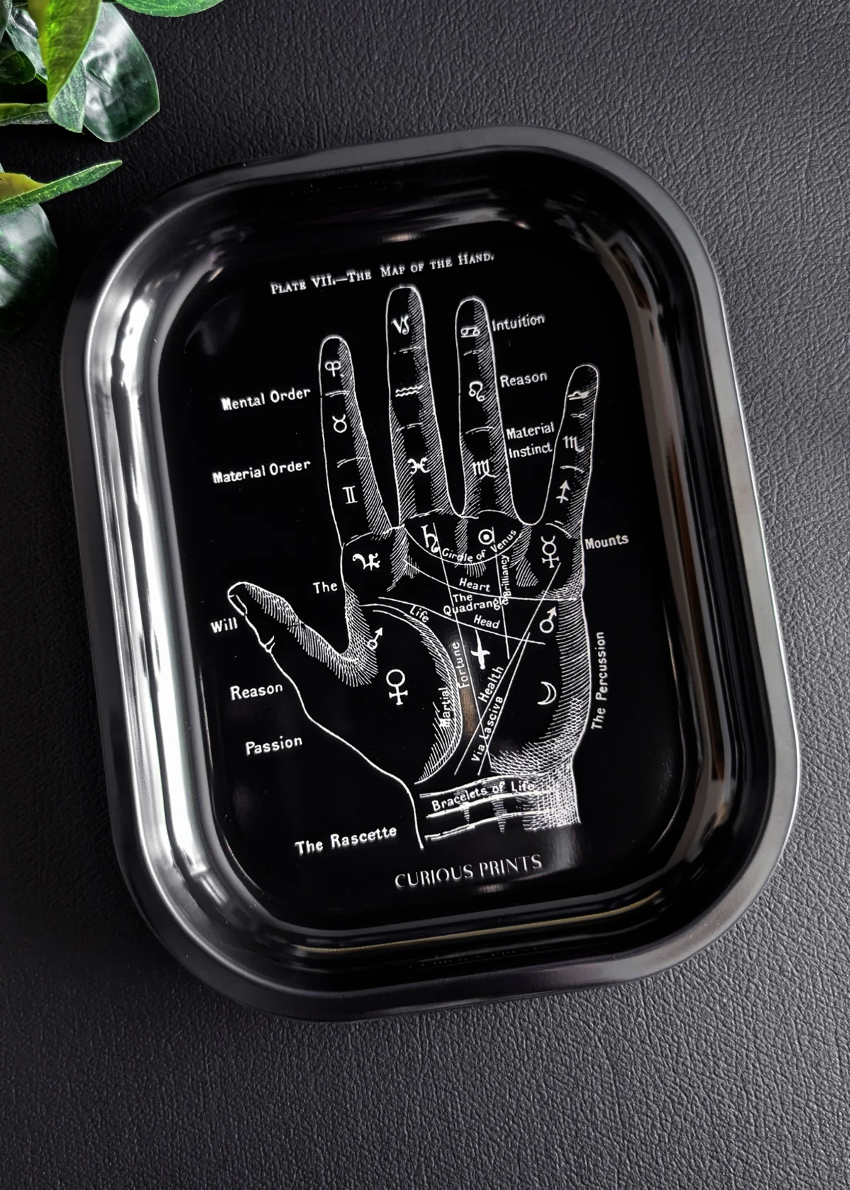 Photograph of product: Curious I Small Metal Tray I Palmistry Ritual
