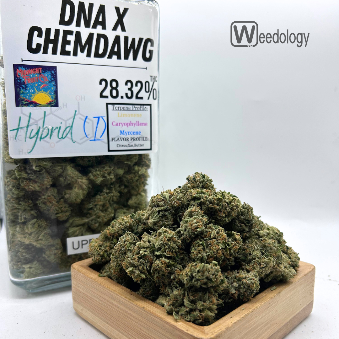 Photograph of product: DNA x Chemdawg (H) - 28g
