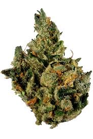Photograph of product: MI Loud 14g Pre Pack | Sour Irene - Hybrid