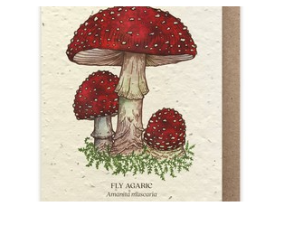 Photograph of product: The Bower Studio - Plantable Seed Card