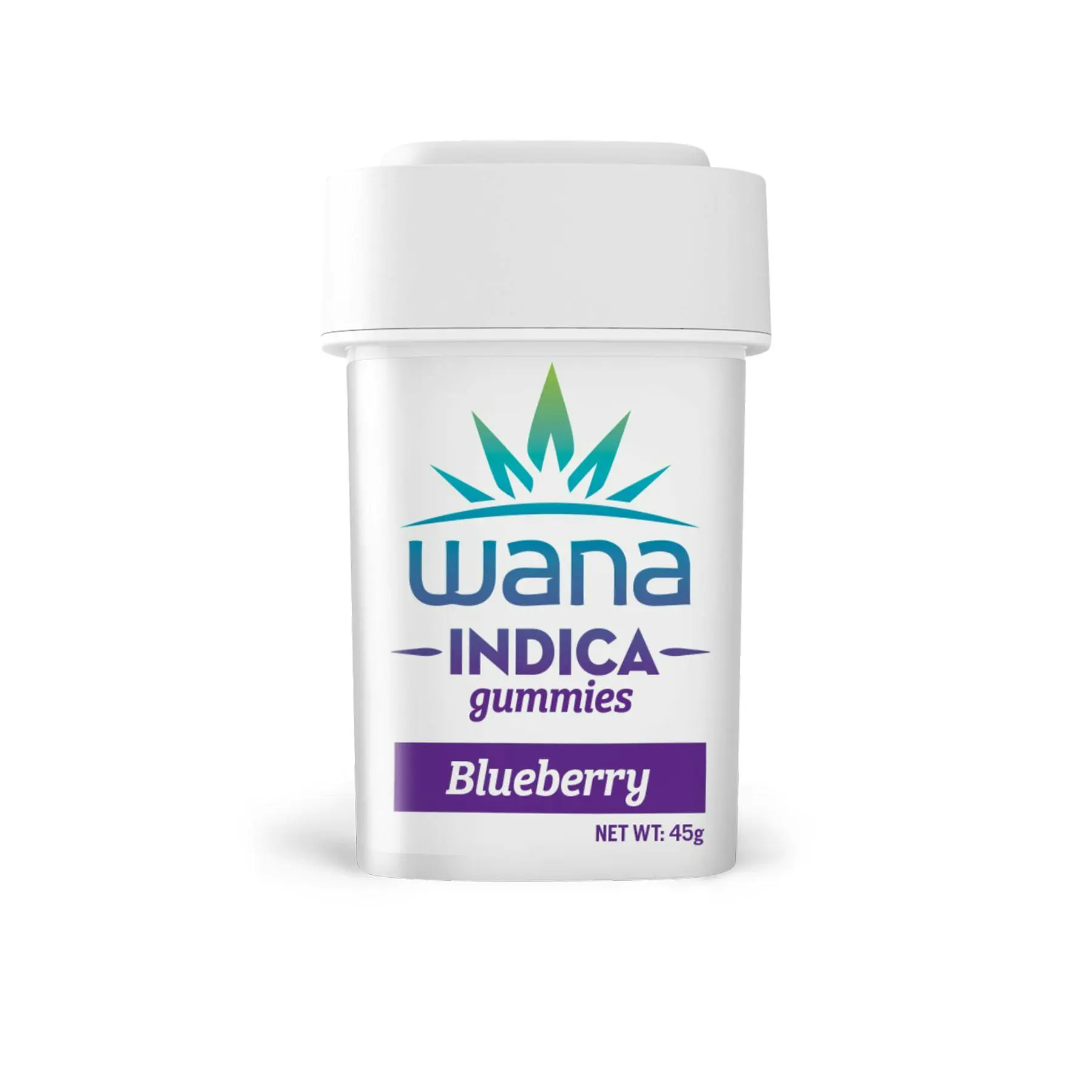 Photograph of product: BLUEBERRY GUMMIES 10PK | 100 MG