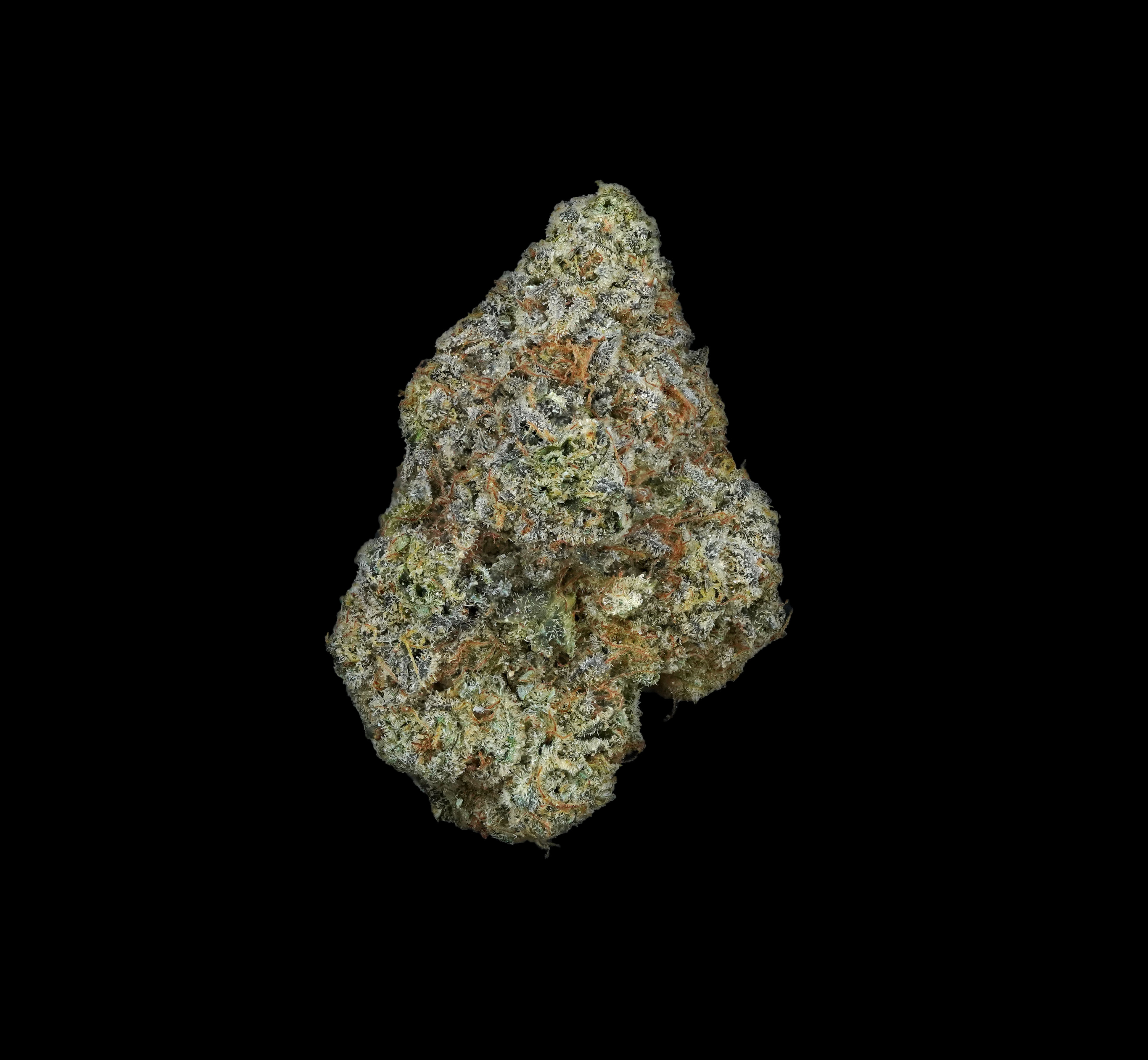 Photograph of product: (BULK) Swamp Farmz - Hybrid - 28g