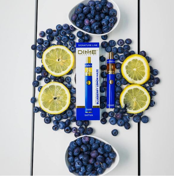 Photograph of product: Blueberry Lemon Haze Disposable (2g)