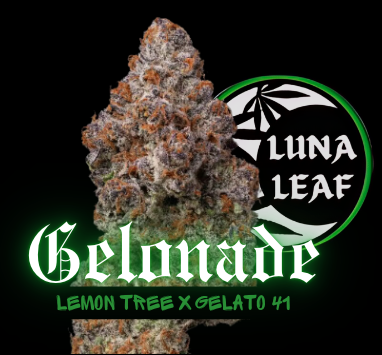 Photograph of product: LUNA LEAF | Gelonade | Flower (H) - 1g