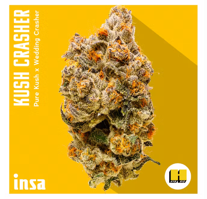 Photograph of product: Kush Crasher 14g