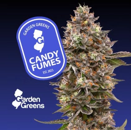 Photograph of product: CANDY FUMES 3.5G FLOWER