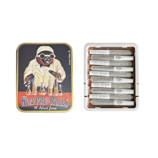 Photograph of product: KOA | Blackberry Dream Infused Pre-Rolls (10 pack) - 3.5g - 