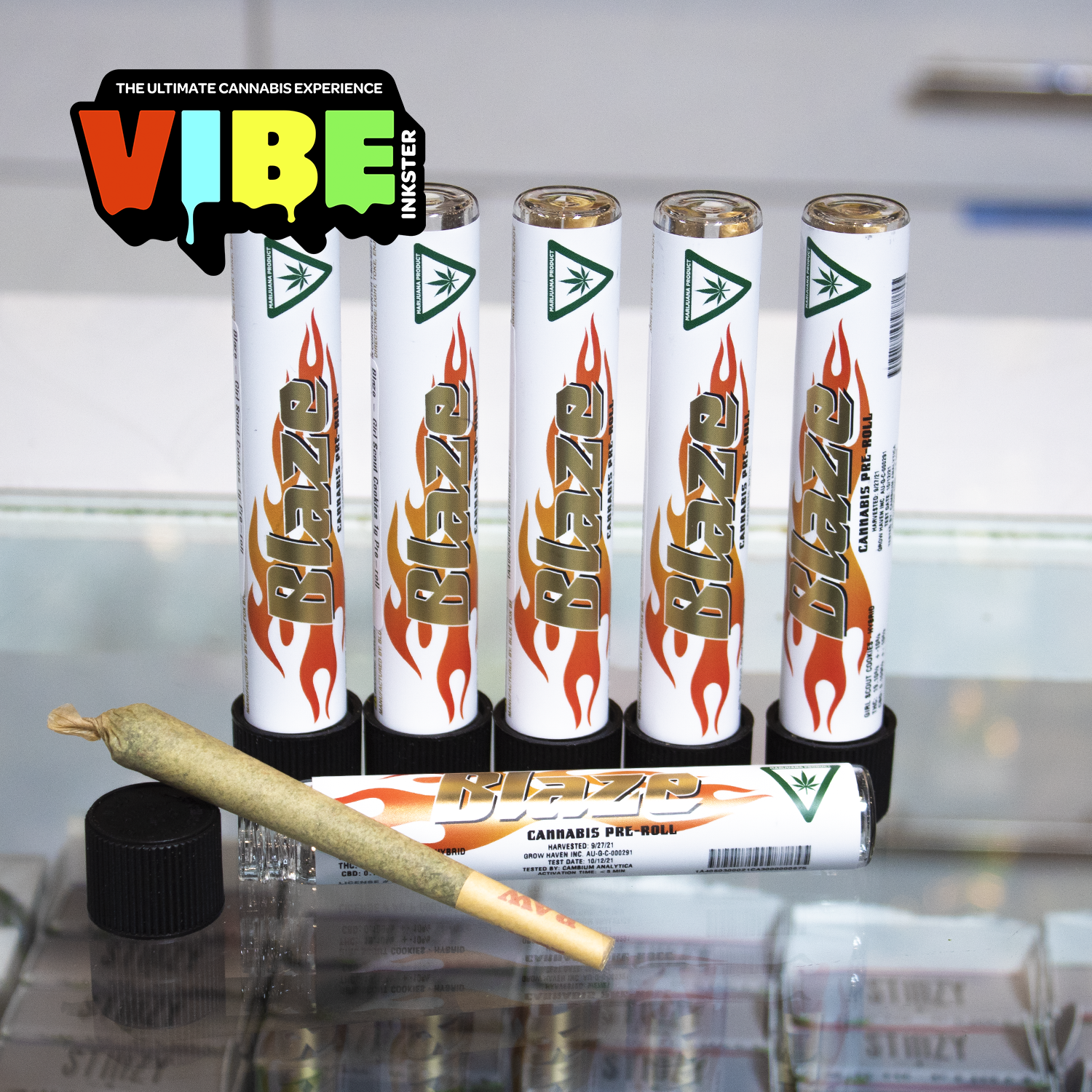 Photograph of product: Cali Blaze | Banana Cream Pie | 1.2g Infused Preroll | REC