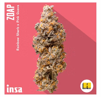 Photograph of product: Insa | Zoap | 14g
