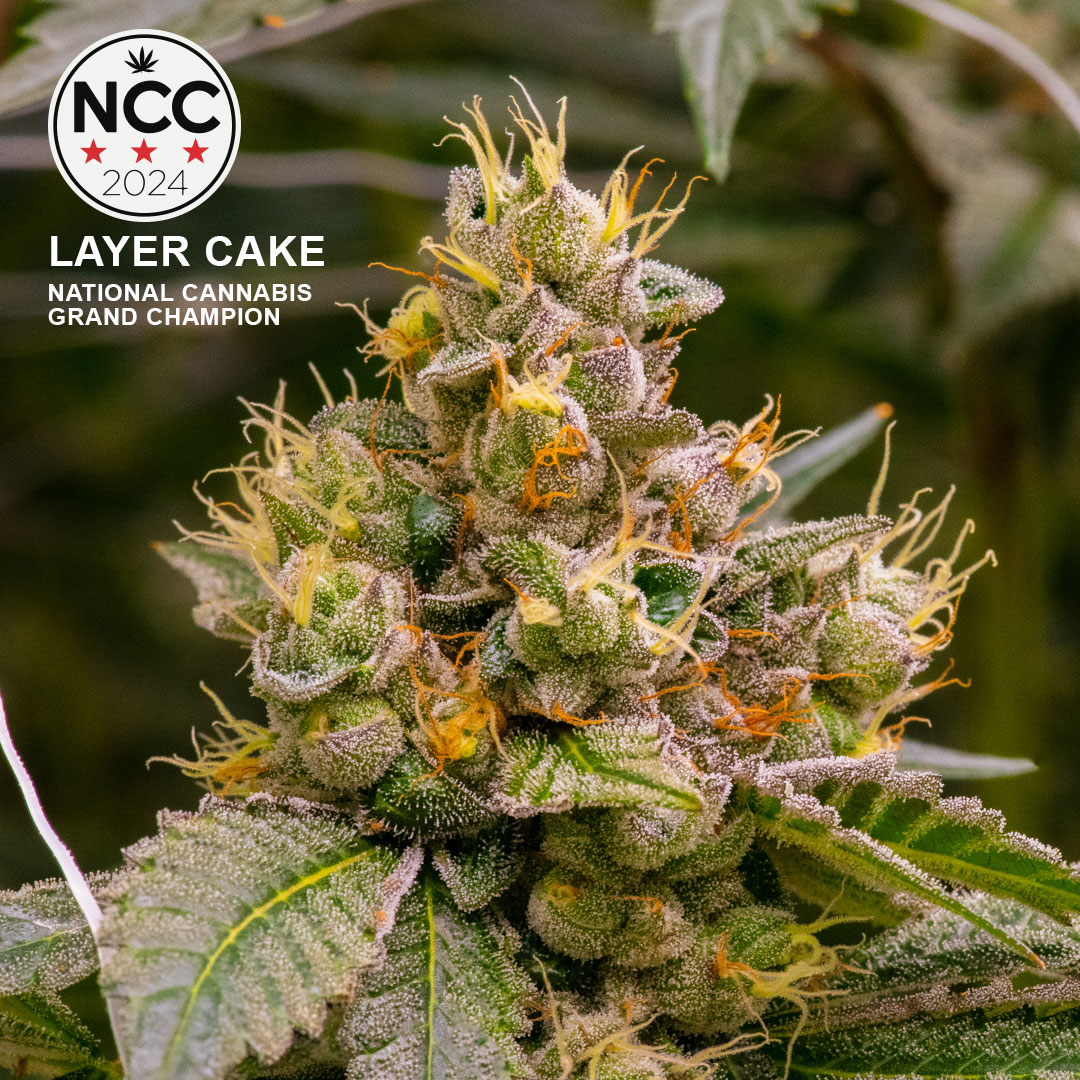 Photograph of product: Layer Cake Pre-Packaged (3.5g) (District Oui'd)