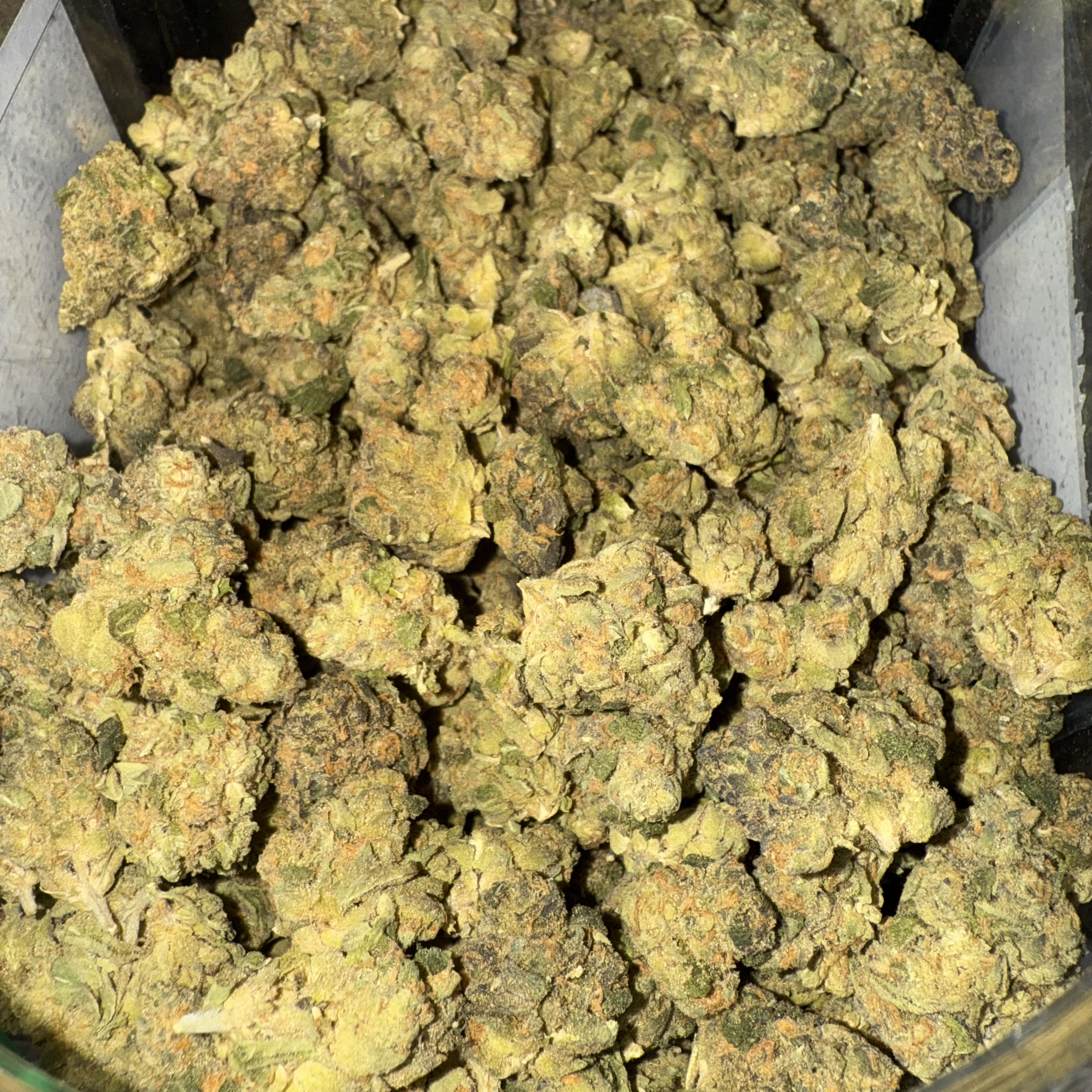 Photograph of product: GLORIOUS | Bulk Flower | Banapple Phone - 1g