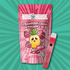 Photograph of product: Bubblegum OG x Rainbow Belts (BH)