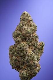 Photograph of product: Florette | Purple Starfruit | Flower - 3.5g