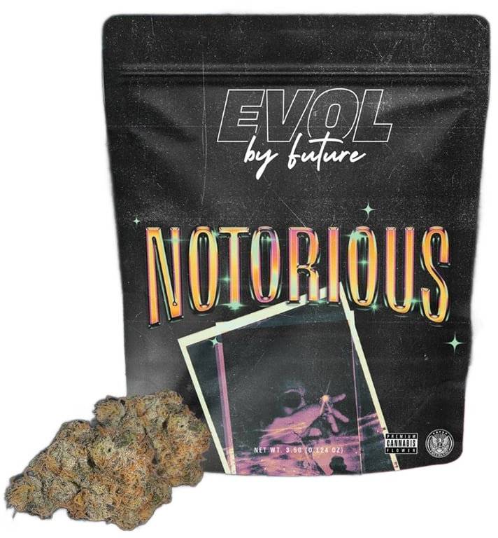 Photograph of product: NOTORIOUS #1 FLOWER - 3.5g