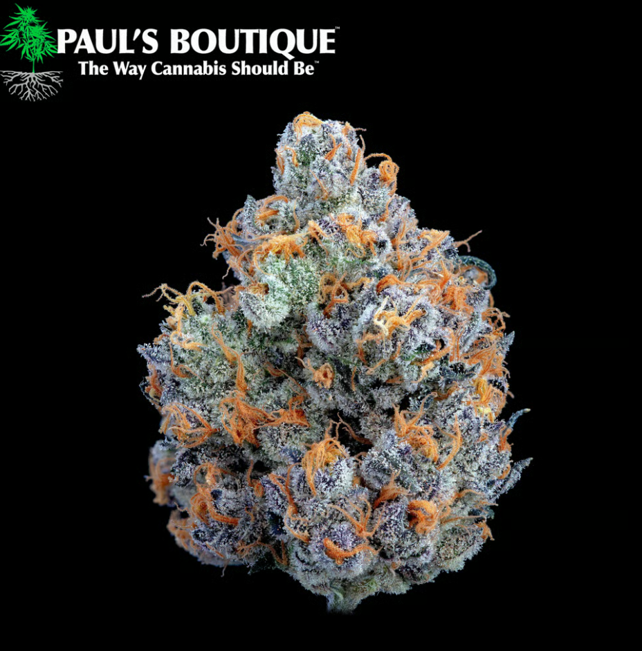Photograph of product: Paul's Boutique Cheetah Piss - 3.5g