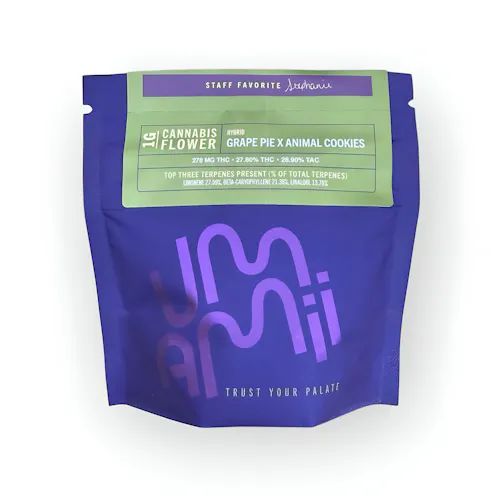 Photograph of Product: Grape Pie x Animal Cookies | Flower - 1g
