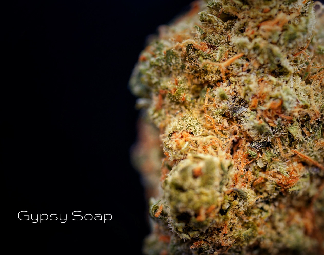 Photograph of product: Gypsy Soap Pre-Rolls (H)