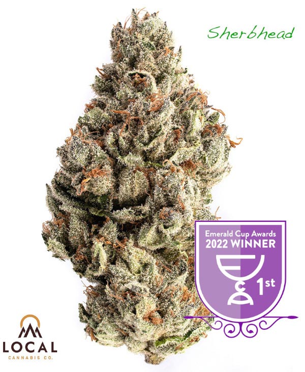 Photograph of product: RS-11 - Local Oui'd - 3.5g Pre-Packaged