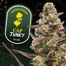 Photograph of product: Cap Junky - 7g (Big Bud)