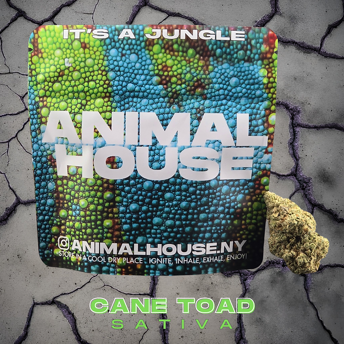Photograph of product: Animal House - Flower - Cane Toad - 3.5g