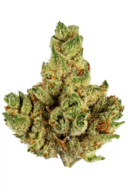 Photograph of product: Mojave | Gas Stank - 3.5g