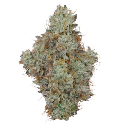 Photograph of product: ANIMAL RUNTZ (S/H) | 3.5G