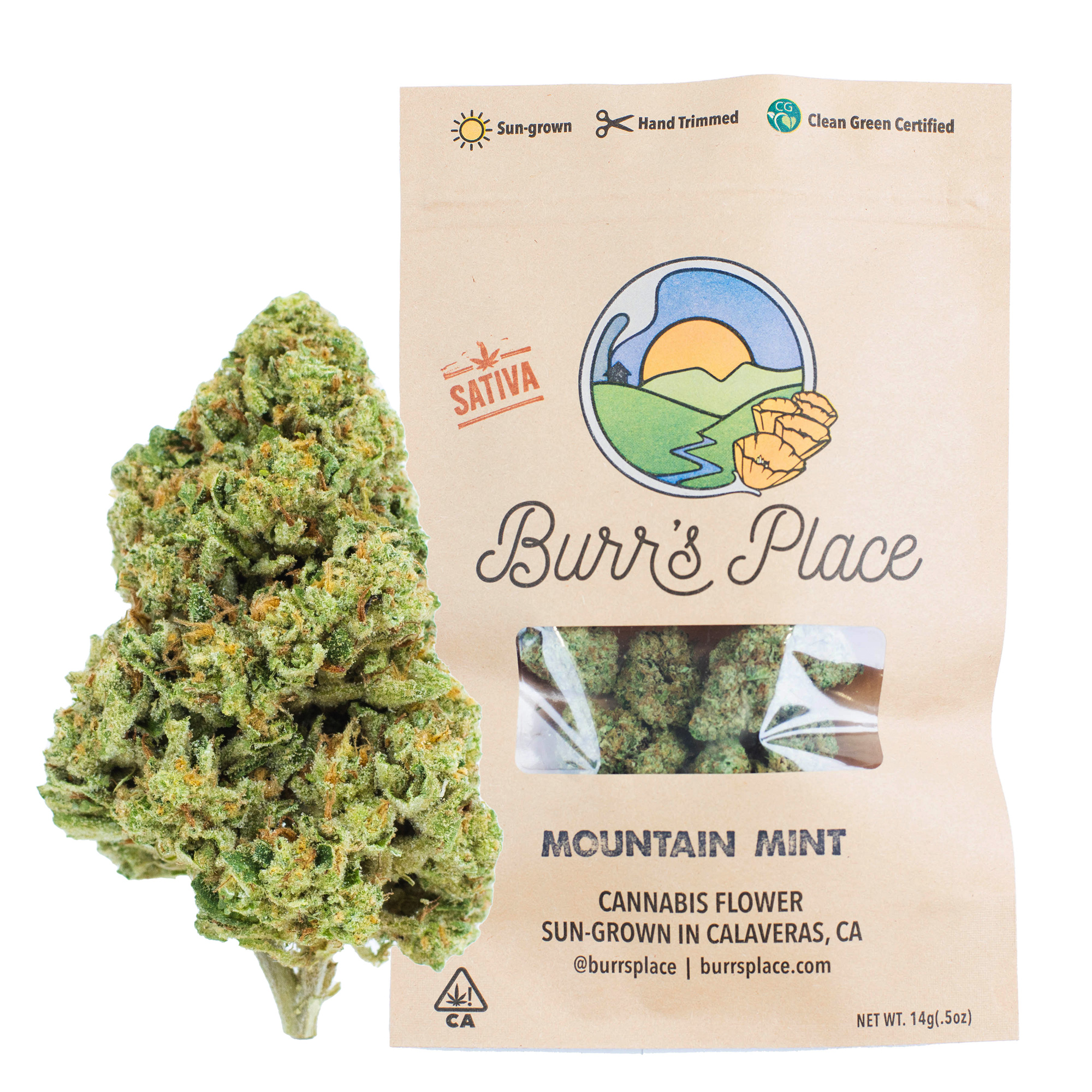 Photograph of product: Burr's Place | Ze Chem | Oui'd | Sun-Grown Flower - 14g