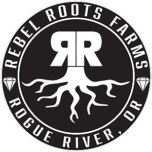 Photograph of product: Multi-Strain 1:1 RSO (Rebel Roots)