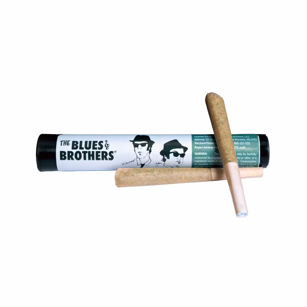 Photograph of product: 1g Grape Gas Pre-Roll 2pk