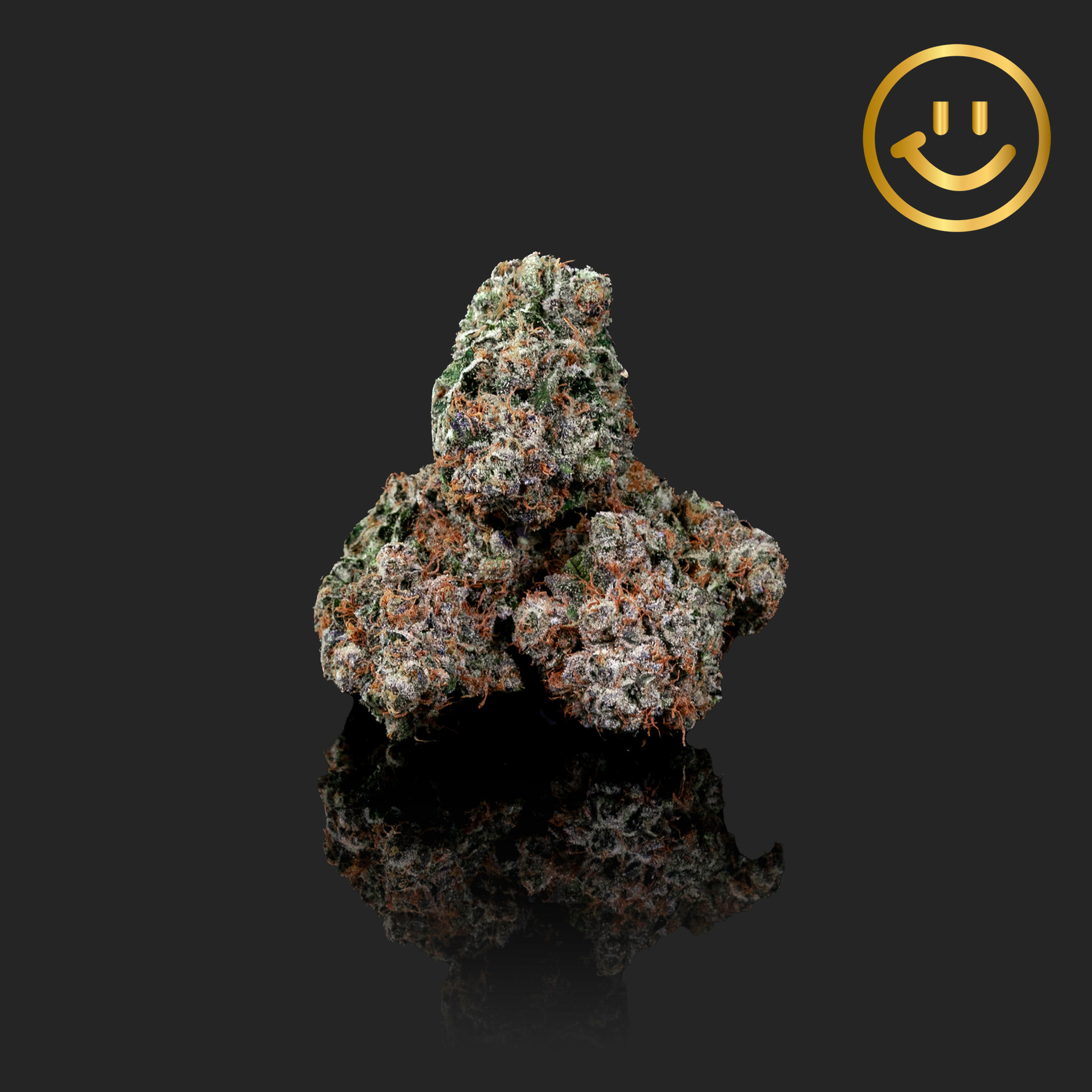 Photograph of product: Coastal Cultivation | Blues OG | indoor flower