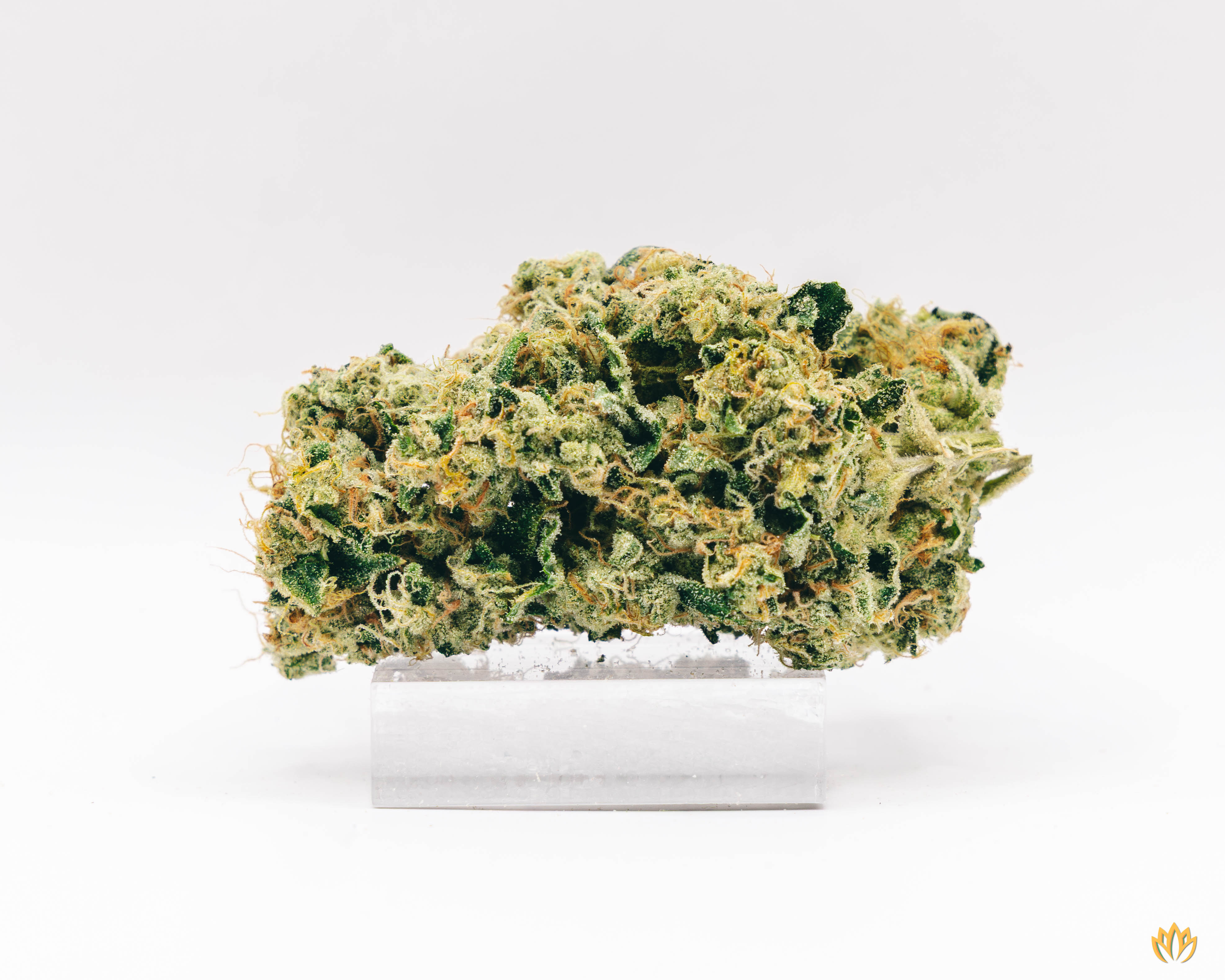 Photograph of product: Fatso - 3.5g