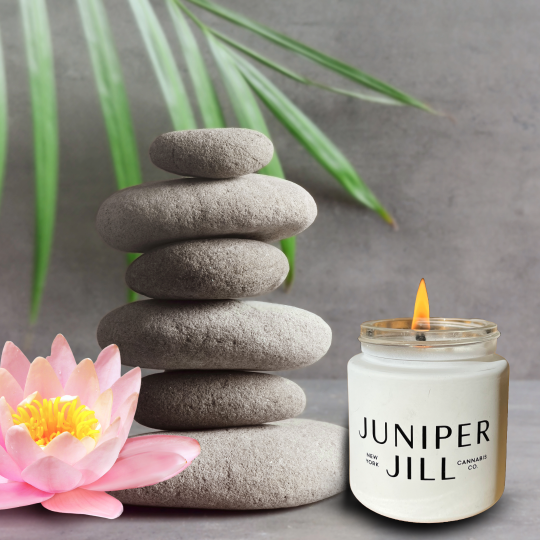 Photograph of product: Juniper Jill Soy Candle | Coconut Hibiscus