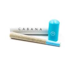 Photograph of product: Lemon Royale preroll (Cabana)