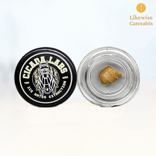 Photograph of product: JIGGLERS 1G LIVE ROSIN BATTER
