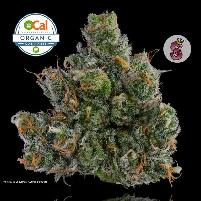 Photograph of product: Blue Dream | 3.5g - 