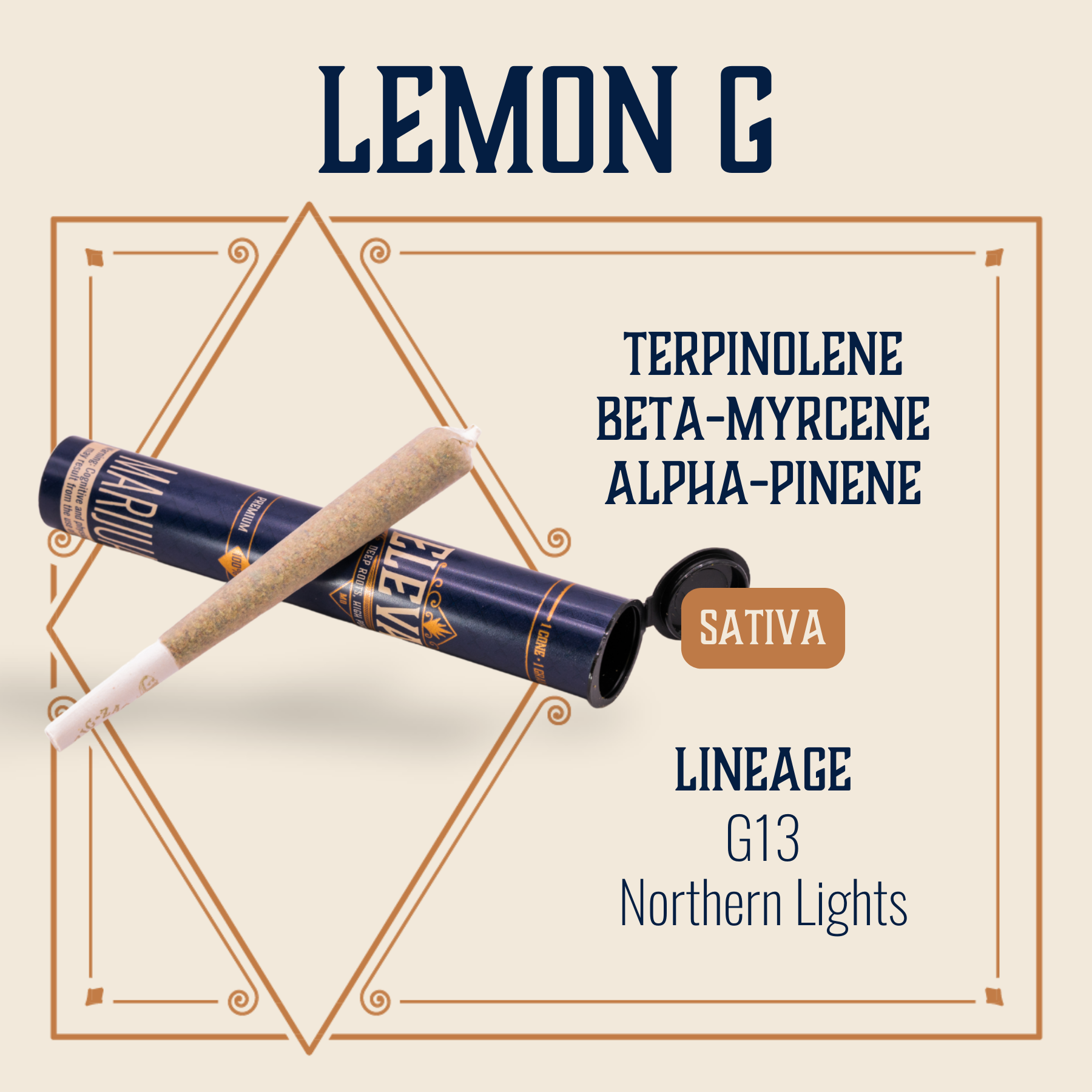 Photograph of product: Lemon G Pre-Roll | 1g