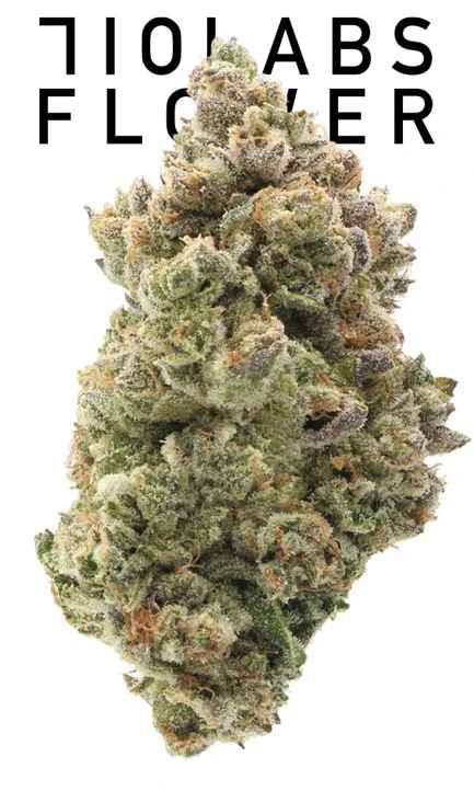 Photograph of product: 710 Labs - Cake Crasher Flower - 3.5g