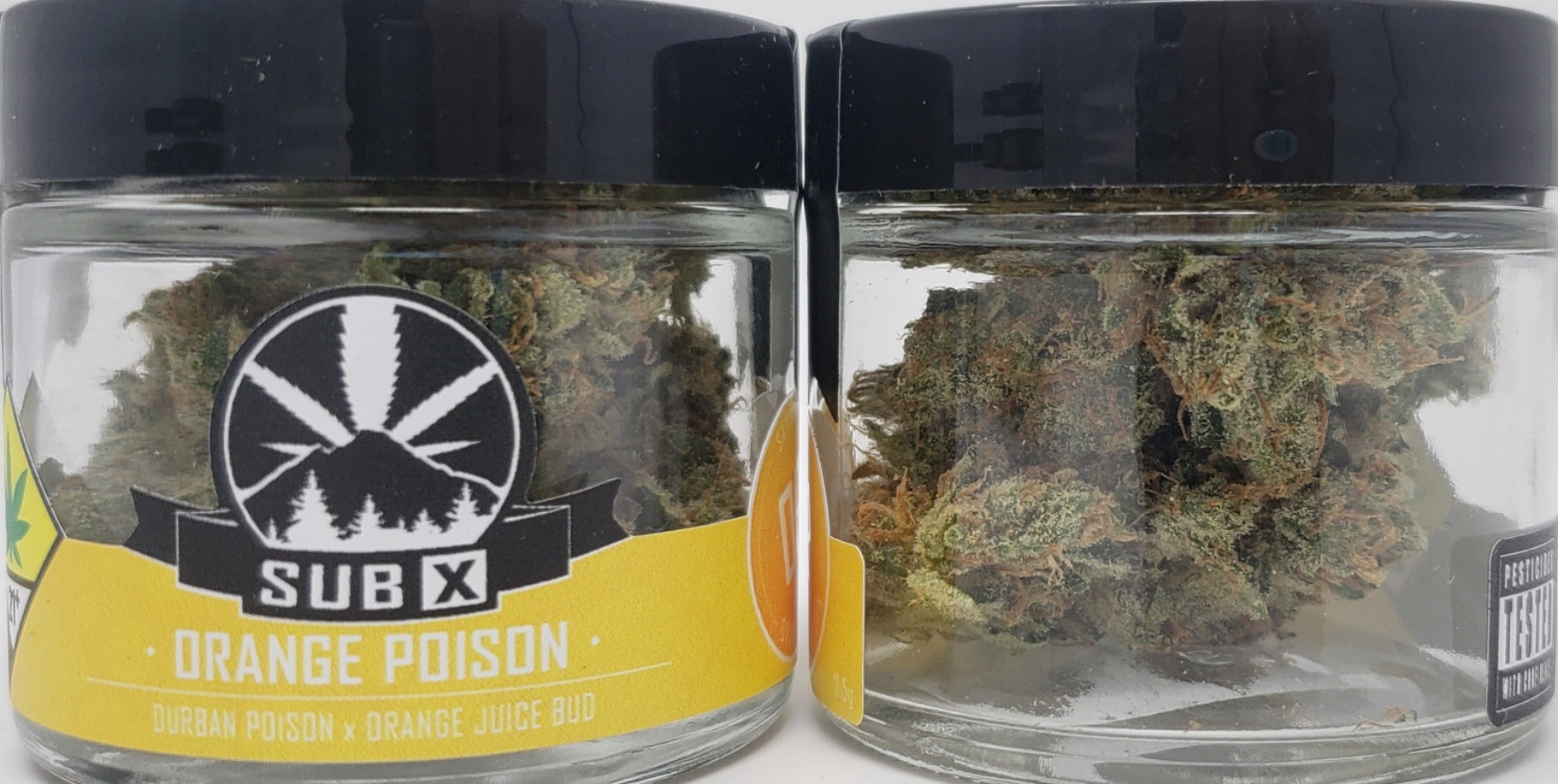 Photograph of product: SUBX Orange Poison - 14g