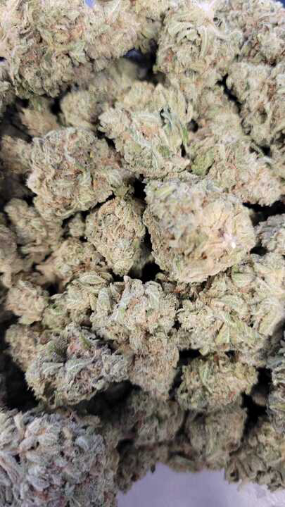 Photograph of product: Donny Burger (Garden First)