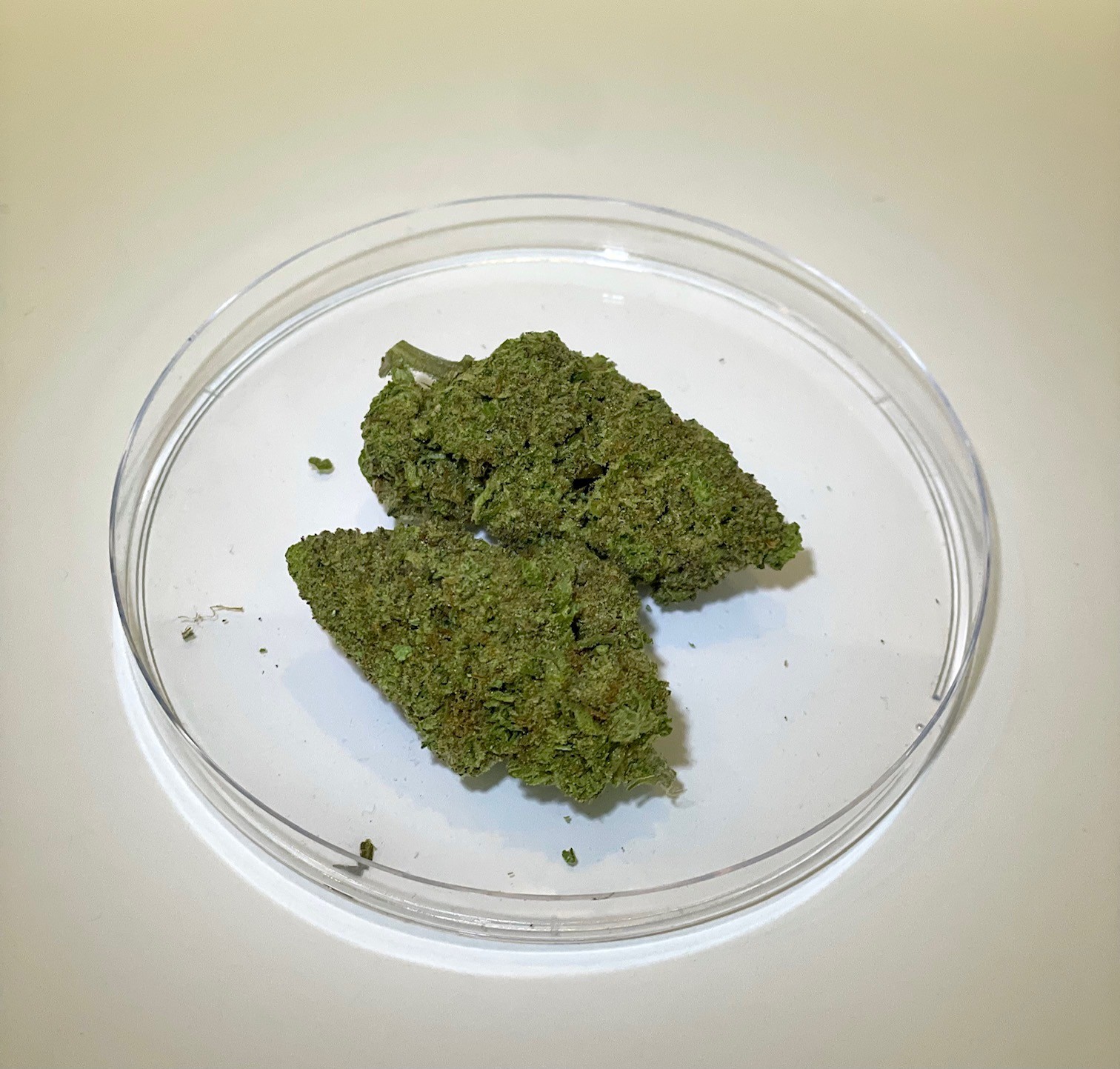 Photograph of product: Pineapple - 1g