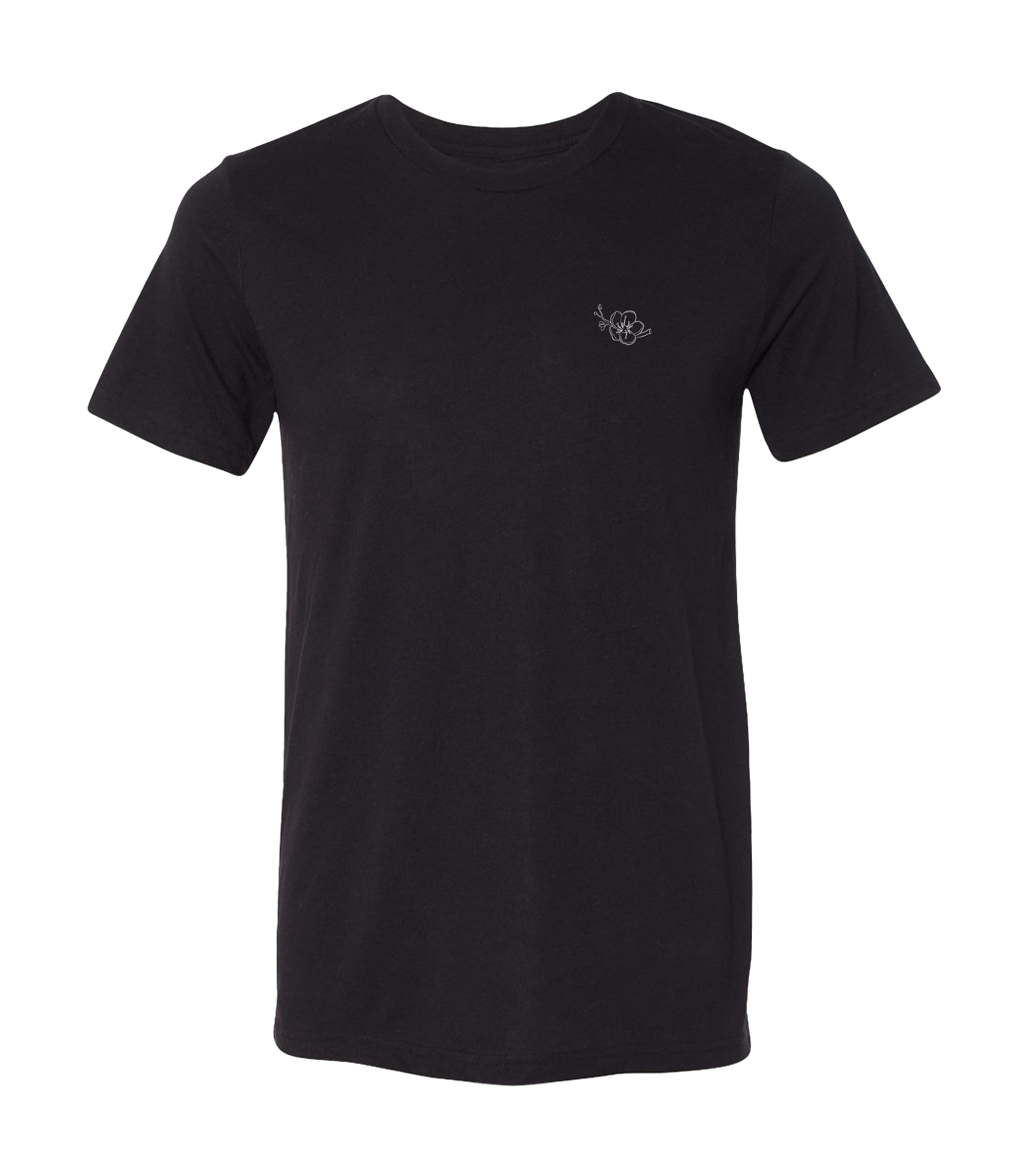 Photograph of product: Black | T-Shirt
