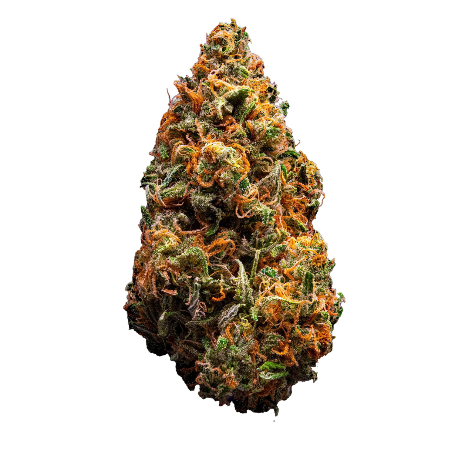Photograph of product: Golden Goat - Buds 3.5g
