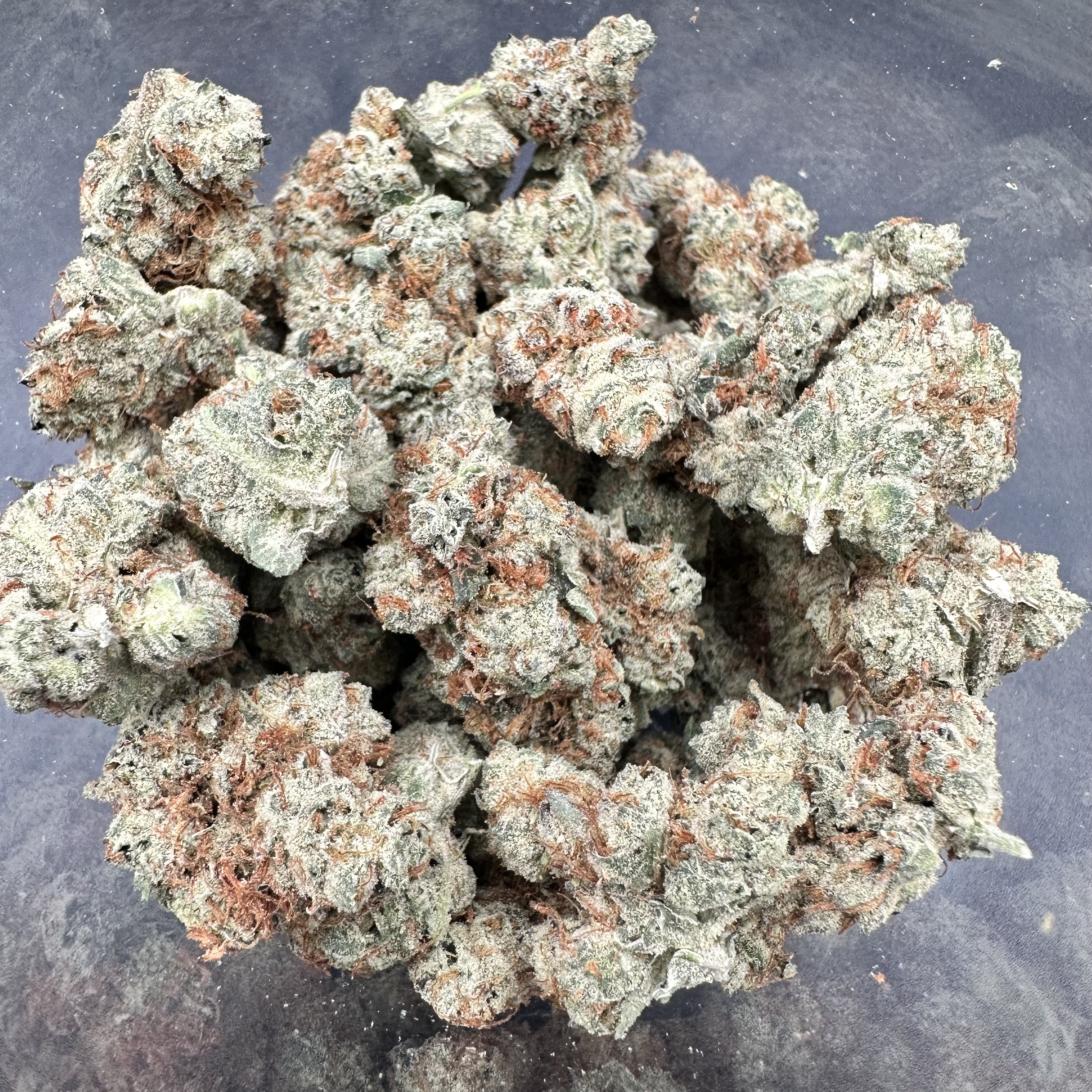 Photograph of product: $75 GMP Flower - Milk & Cookies - 28g