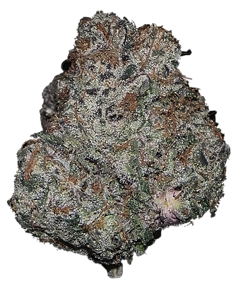 Photograph of product: Cinderella Cream Buds - 3.5g