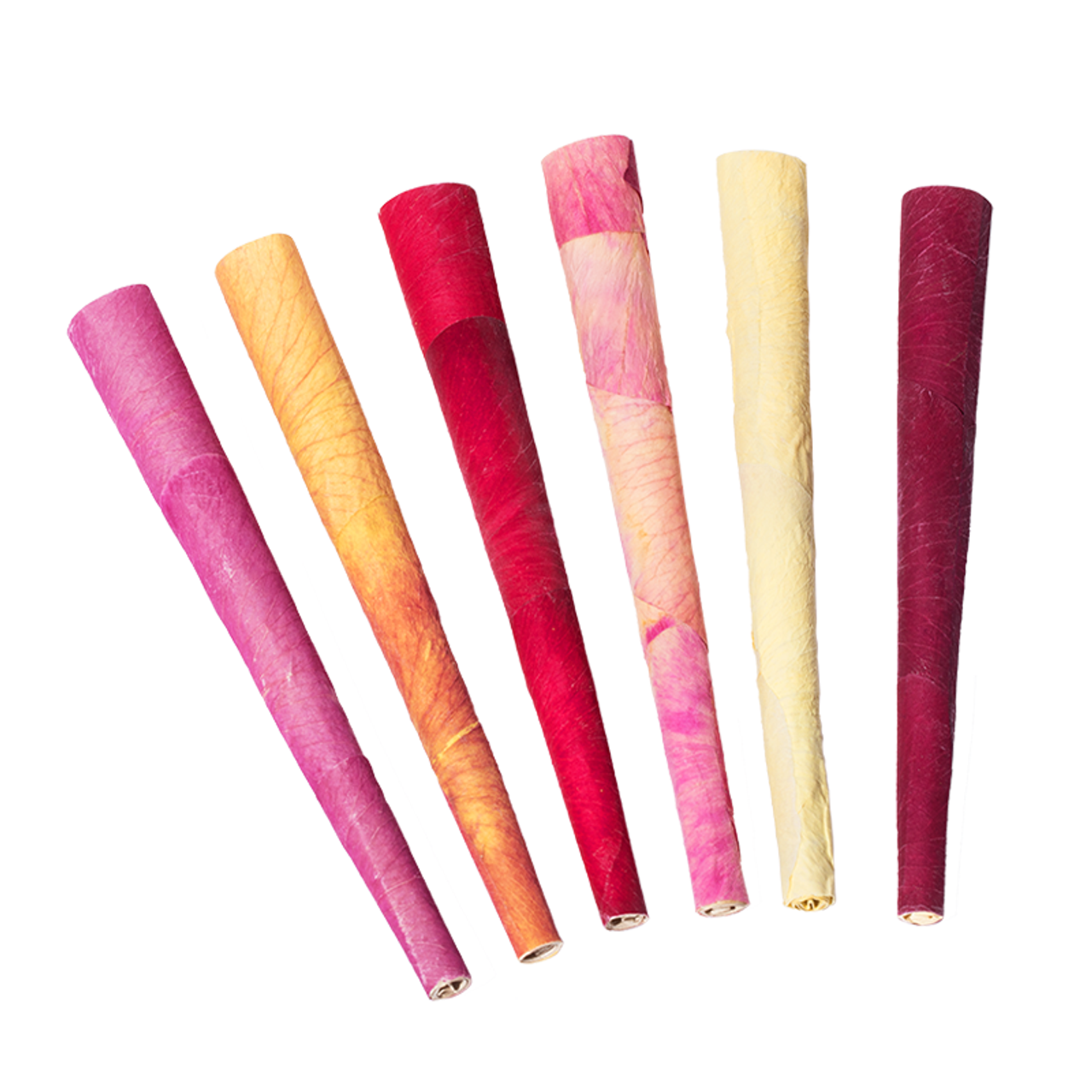 Photograph of product: Variety Rose Cones ~ 109mm ~ 2pk